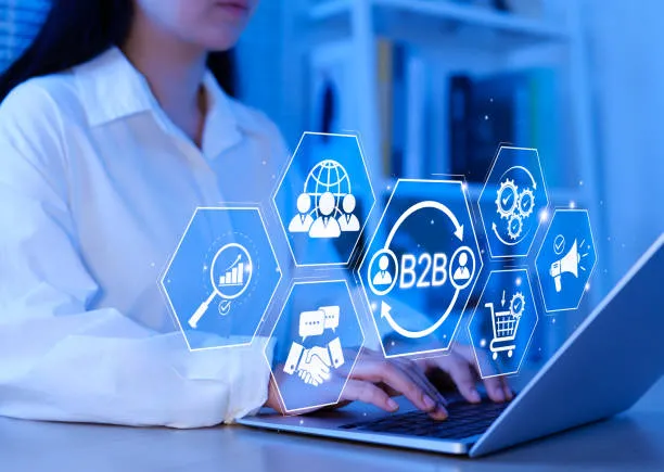 B2B SaaS project placeholder